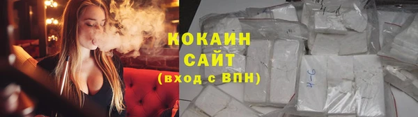 бошки Гусь-Хрустальный