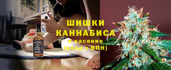 хмурый Гусиноозёрск