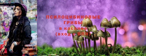хмурый Гусиноозёрск