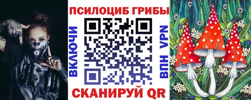 Купить где  Устюжна  Галлюциногенные грибы мицелий 