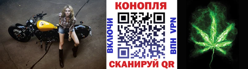 Купить  Устюжна  МАРИХУАНА гибрид 